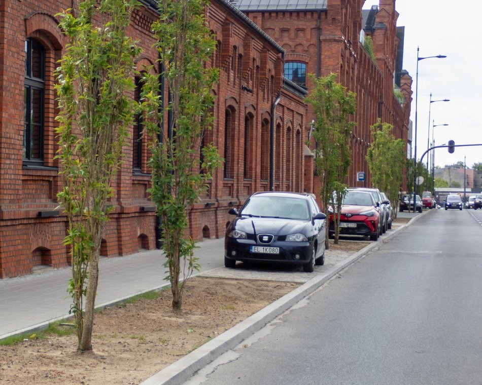 Łódź. Przy Monopolis w Łodzi jest coraz piękniej. Wspaniałe połączenie natury i nowoczesności