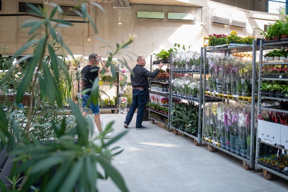 Pierwsze Targi roślin egzotycznych w Orientarium Zoo Łódź. Ale okazy!