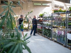 Pierwsze Targi roślin egzotycznych w Orientarium Zoo Łódź. Ale okazy!