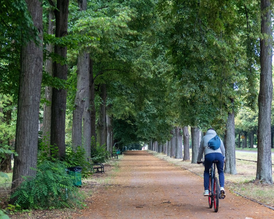 Łódź. Park na Zdrowiu w Łodzi