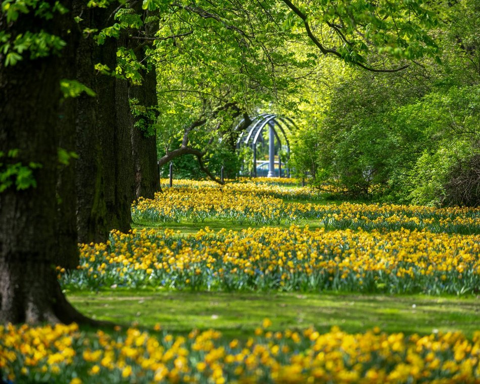 Łódź. Park Staromiejski w Łodzi