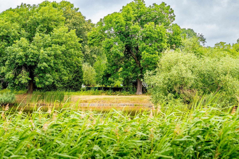 Łódź. Staw przy Przędzalnianej w Łodzi w trakcie czyszczenia. Tam będzie jeszcze piękniej!