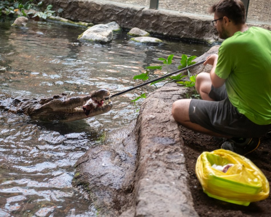 601. Urodziny Łodzi w Orientarium Zoo Łódź
