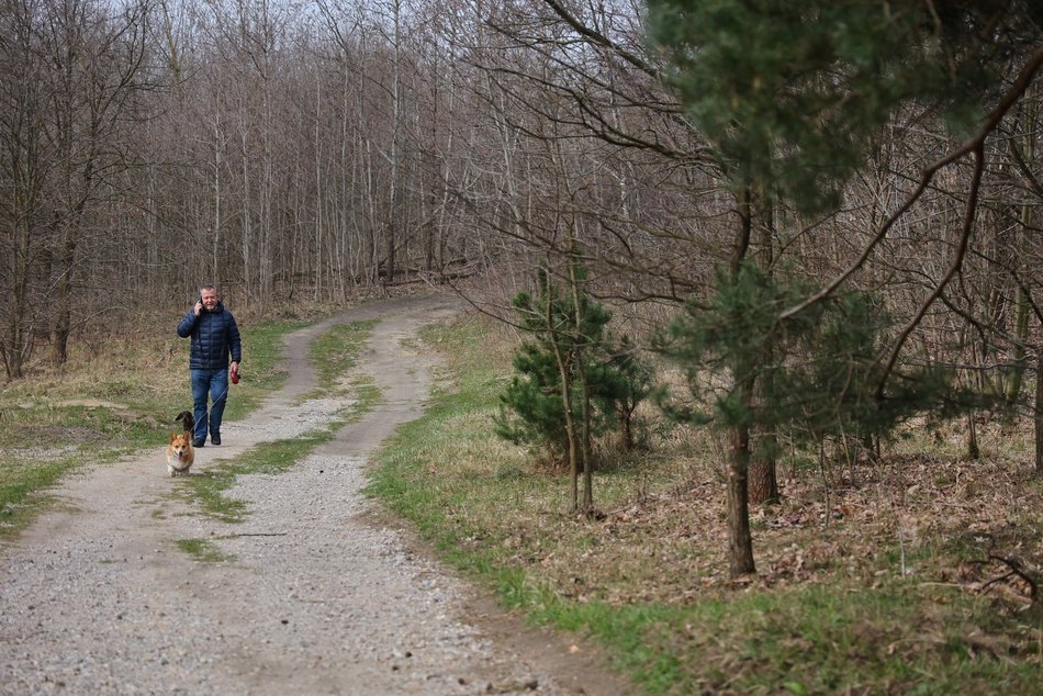 Park Zbójnicki