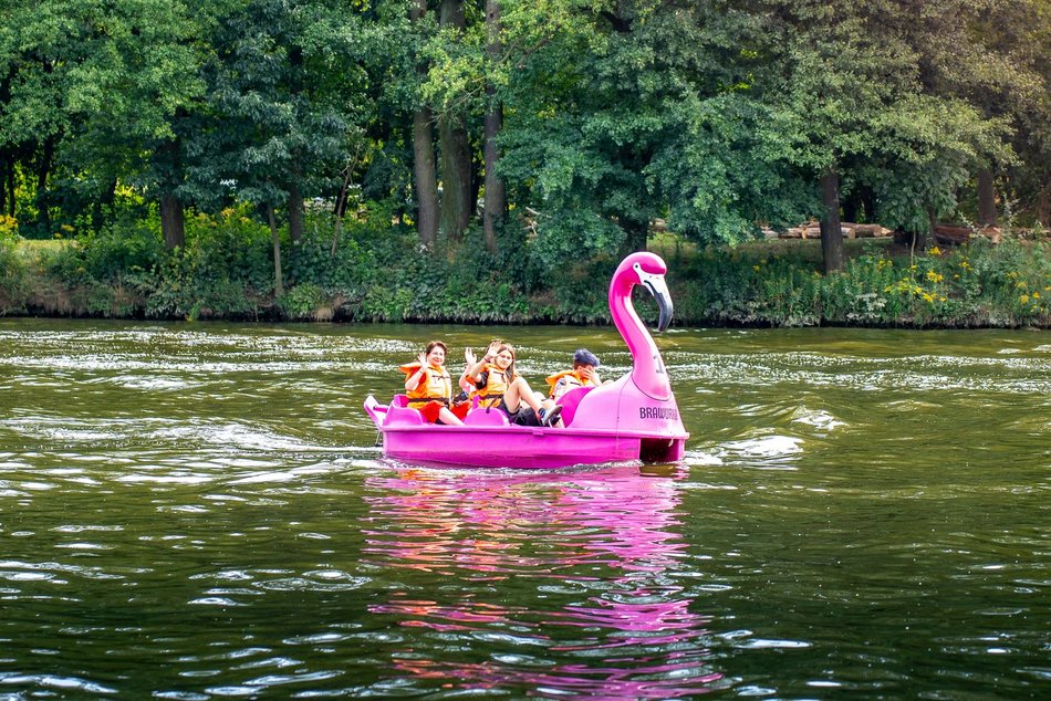 Piknik w parku na Młynku