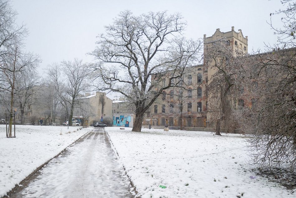 Łódź. Skwer Bogumiły Wander