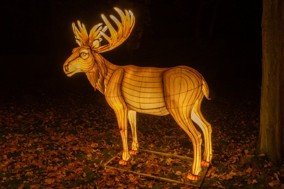 Park Miliona Świateł w Łodzi otwarty! Magiczne zwierzęta opanowały Orientarium Zoo Łódź