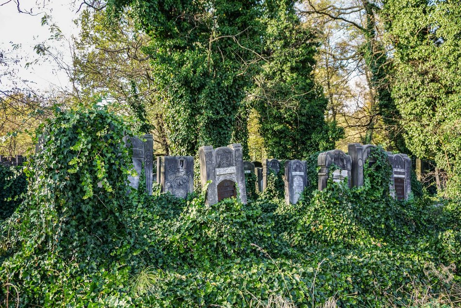 Łódź. Cmentarz przy Brackiej w Łodzi ma 134 lata