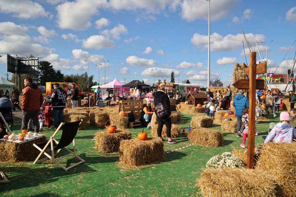 Farma Dyniowa w Pasażu Łódzkim