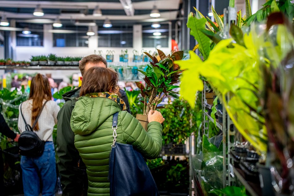 Festiwal Roślin w EC1 Łódź
