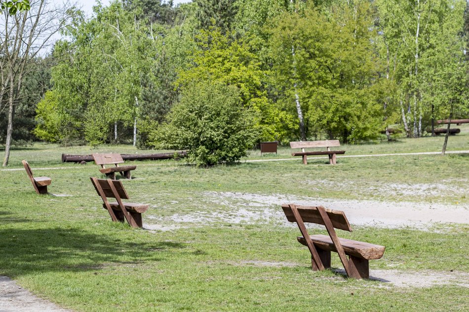 Łódź. Lublinek w Łodzi zmienia się nie do poznania. Właśnie powstało tam miejsce piknikowe