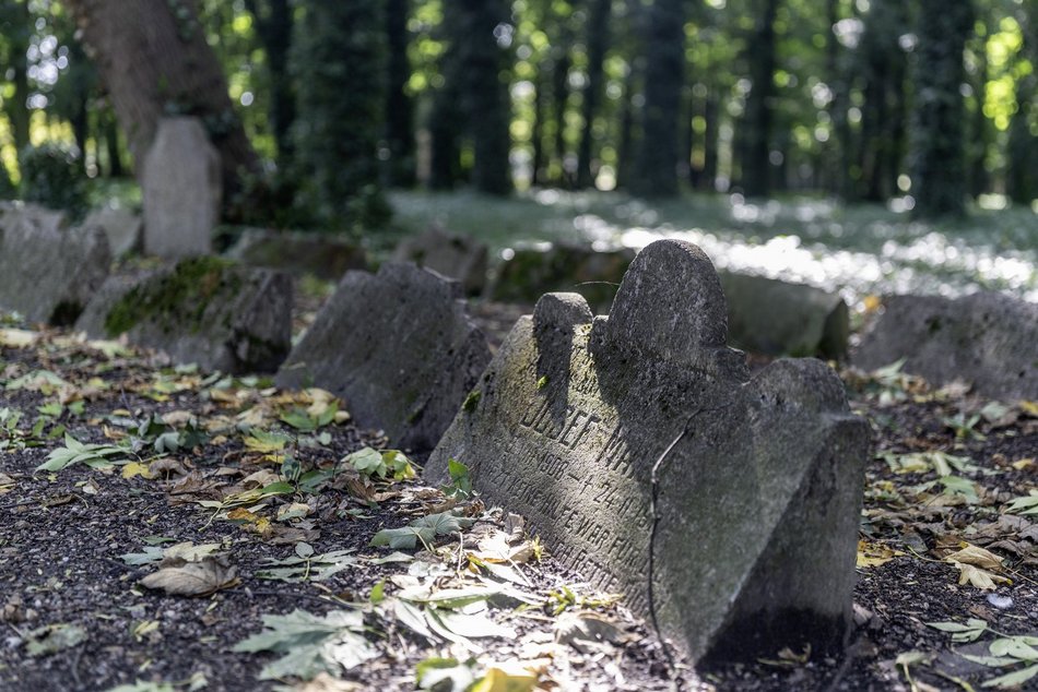 Park Rejtana w Łodzi