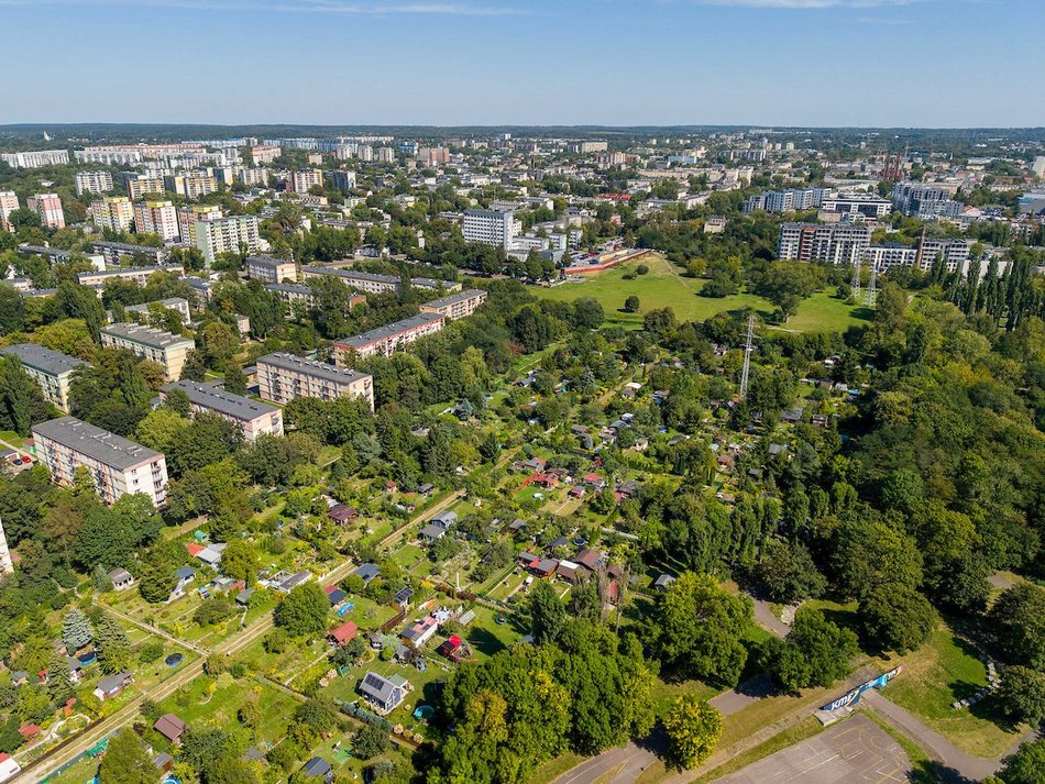 Łódź. Rodzinne Ogrody Działkowe w Łodzi. Miejsca relaksu z prawdziwą ekomisją