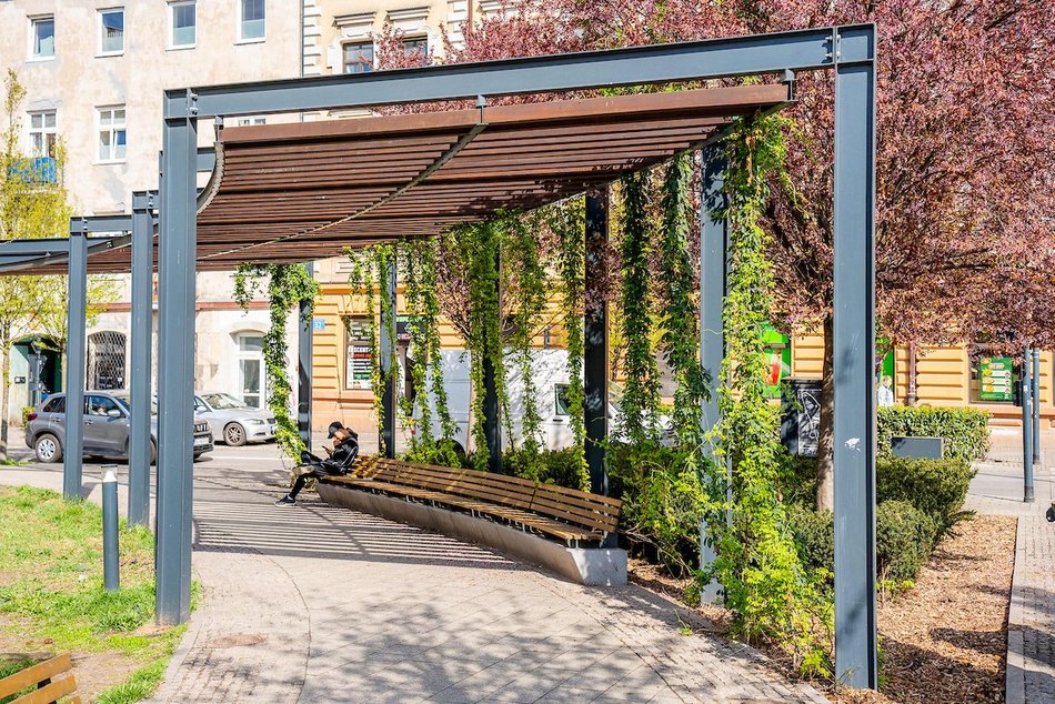 Łódź. Najpiękniejszy skwer? Kiedyś zaniedbany trawnik, dzisiaj kwitnący ogród