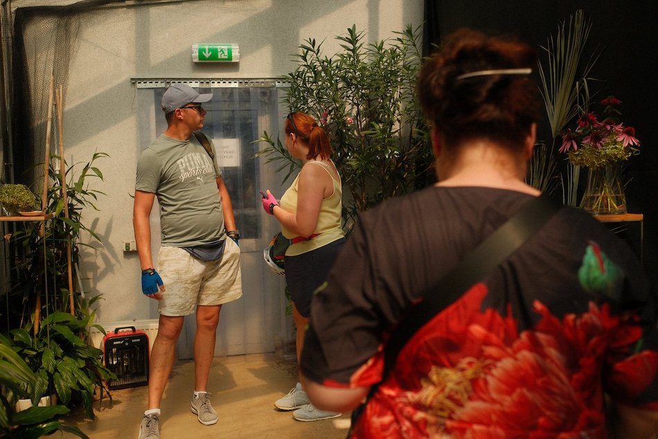 Łódź. Motyle z tropików na długi weekend. Kolorowa wystawa w Palmiarni