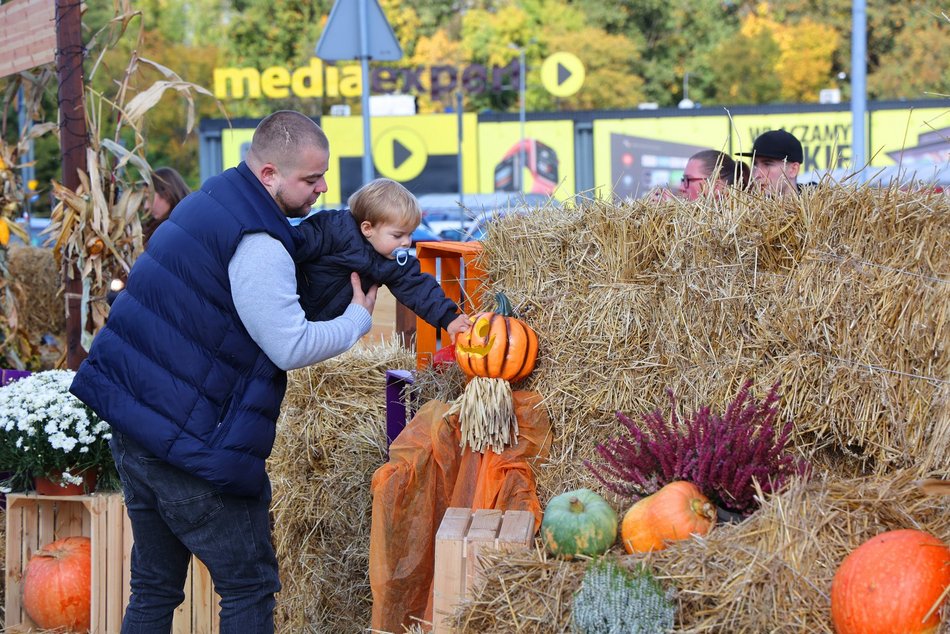 Farma Dyniowa w Pasażu Łódzkim