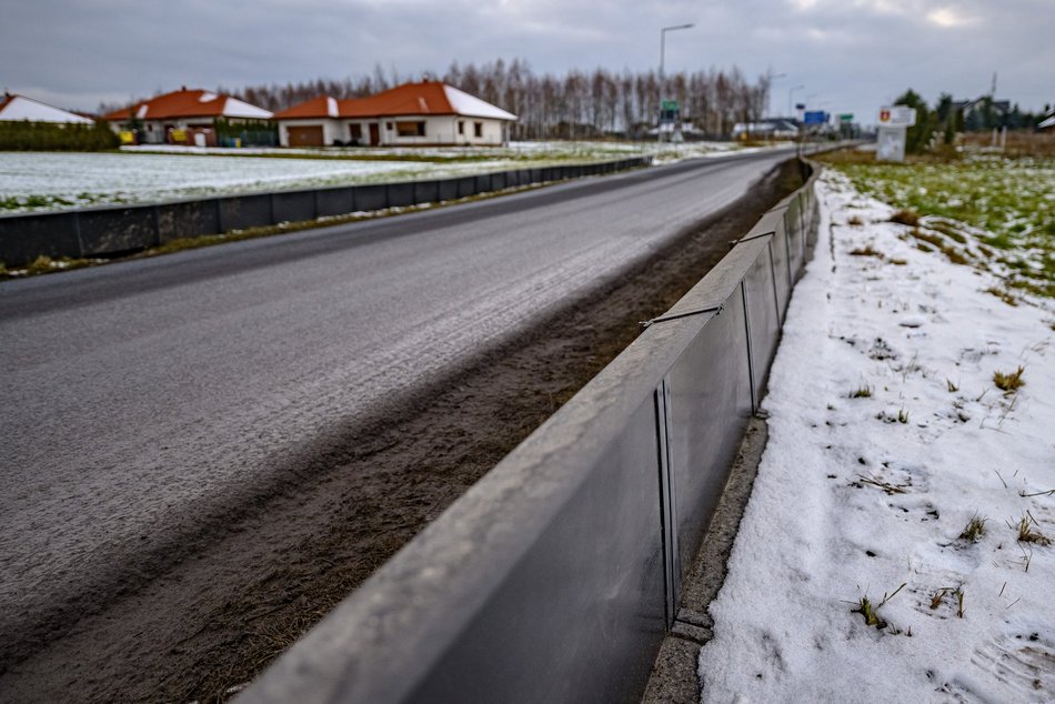 Kumamy żaby! Andrzejów w Łodzi wie, jak ochronić je przed pędzącymi samochodami