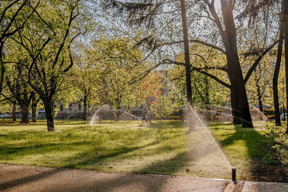 Park Staromiejski w Łodzi - wiosna, zieleń