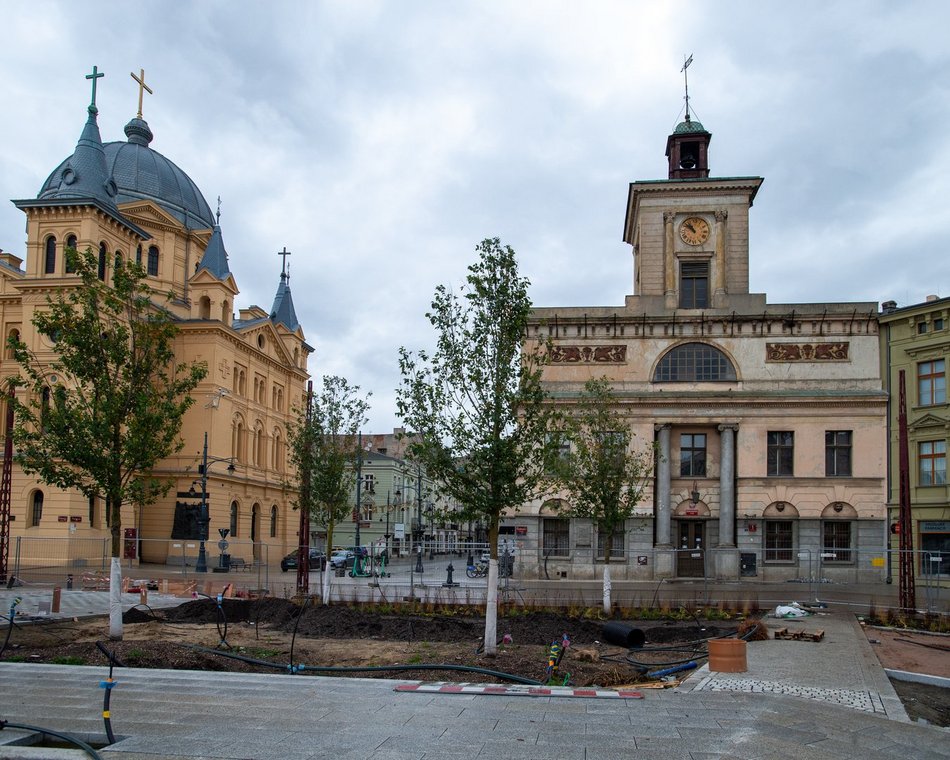 Plac Wolności z kolejnymi drzewami