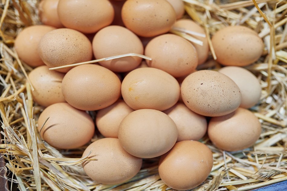 Targ na placu Barlickiego