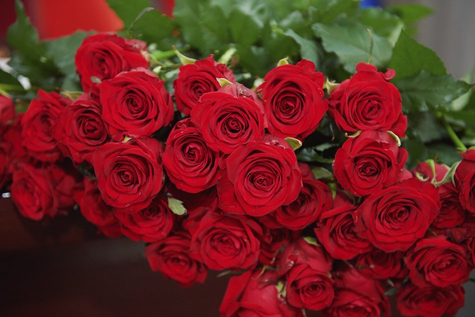 Uroczystość wręczenia medali z okazji długiego pożycia małżeńskiego