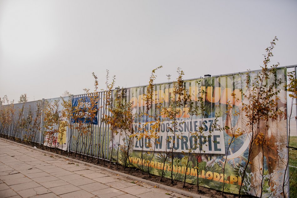 Zazieleni się przy Atlas Arenie w Łodzi! Będą nowe krzewy i ozdobne trawy