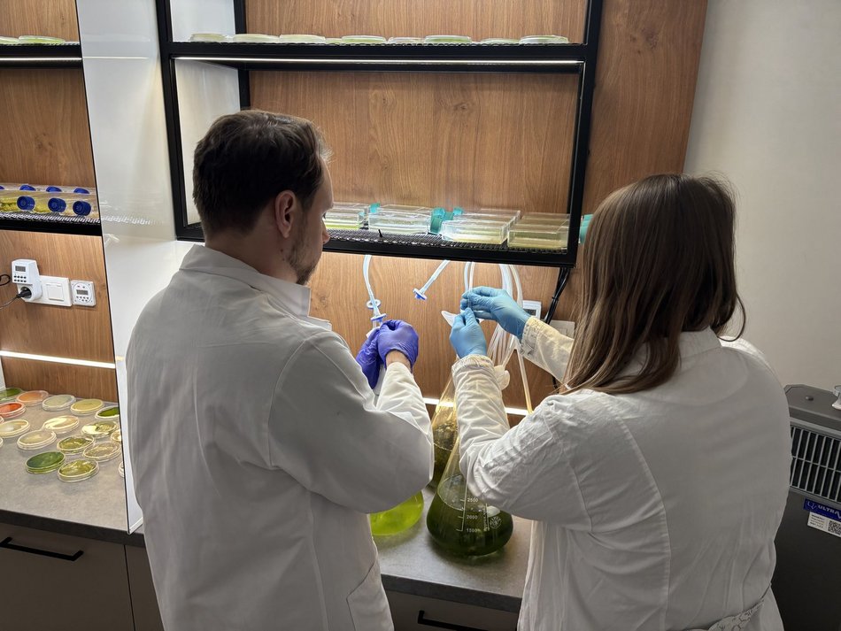 Łódź. Bioreaktor na Politechnice Łódzkiej. Czy mikroglony z rzek i stawów w Łodzi uratują nasze powietrze?