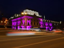 Łódź. Międzynarodowy Dzień Epilepsji w Łodzi. Pałac Poznańskich w lawendowych barwach