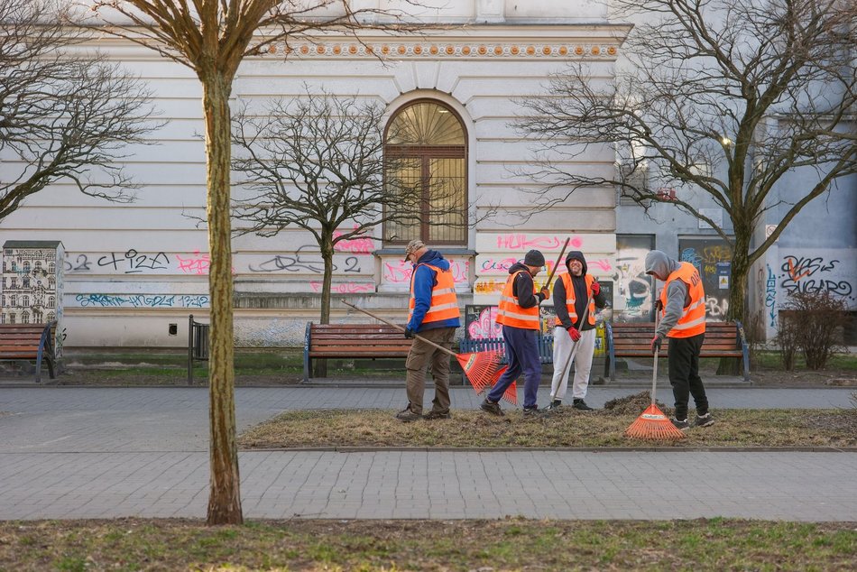 Łódź. Wiosenna pielęgnacja drzew w Łodzi. Dlaczego jest potrzebna?