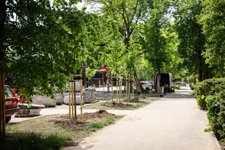 Łódź. Nowe drzewa przy ul. Zaolziańskiej na Górnej w Łodzi
