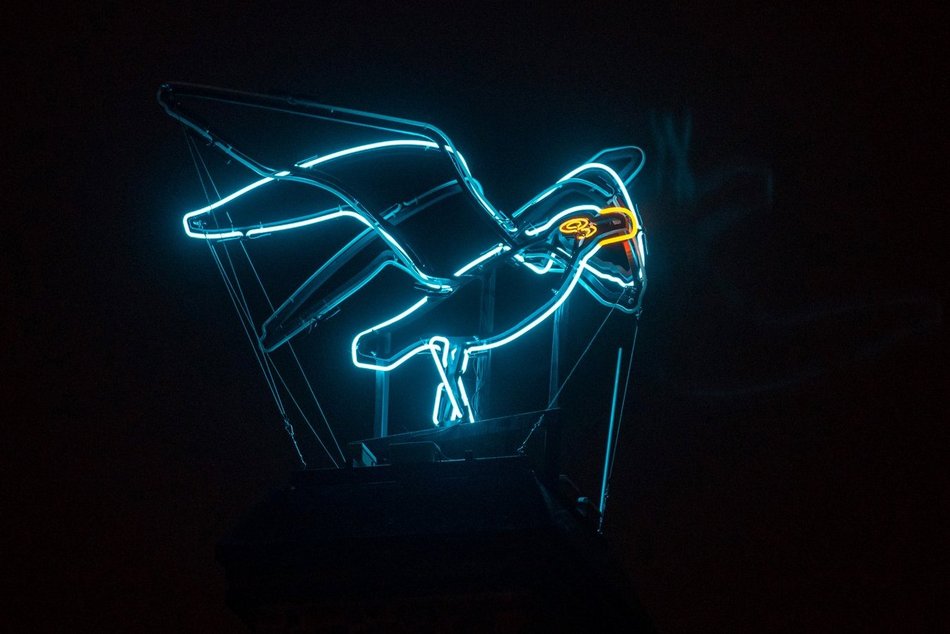 Zwierzęta na kamienicach, w parkach i ulicach w Łodzi