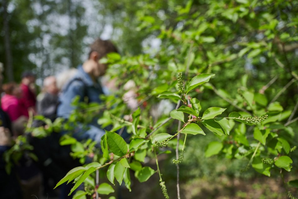 Ogród Botaniczny w Łodzi