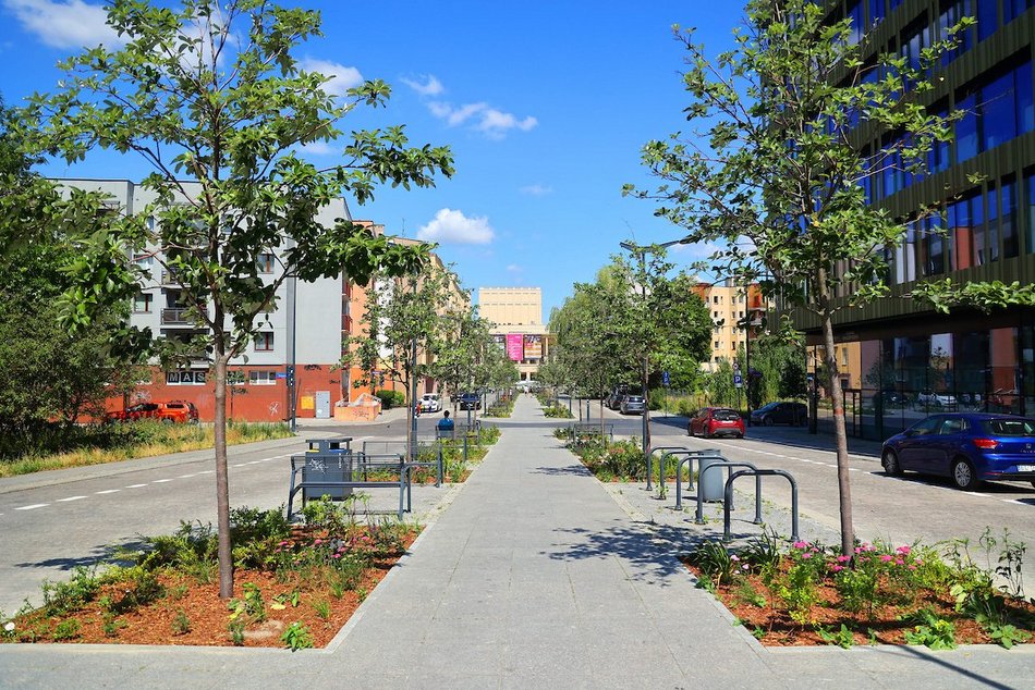 Łódź. Knychalskiego w Łodzi cała w zieleni! Nowe drzewa, kwiaty i rabaty