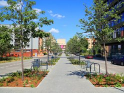 Łódź. Knychalskiego w Łodzi cała w zieleni! Nowe drzewa, kwiaty i rabaty