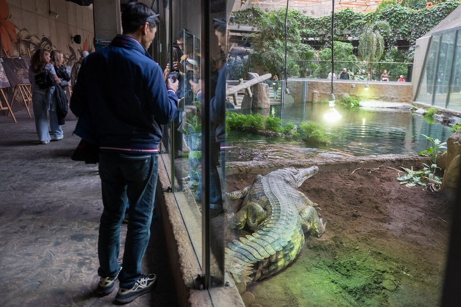 Łódź. Wielkanocny zając w Orientarium Zoo Łódź