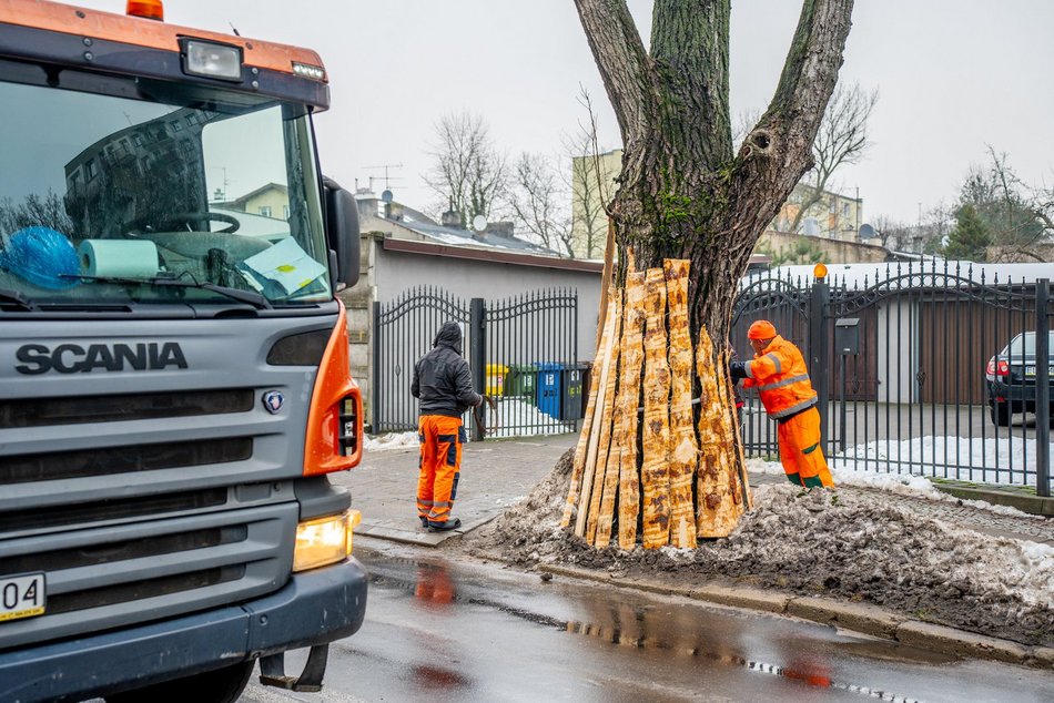 Łódź. Drogowcy zaczęli remont na Tuszyńskiej