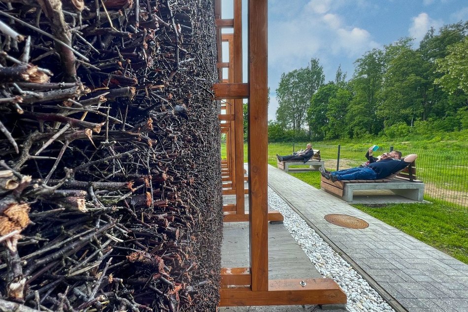 Tężnia solankowa na Stawach Jana gotowa na nowy sezon. Idź i odetchnij pełną piersią