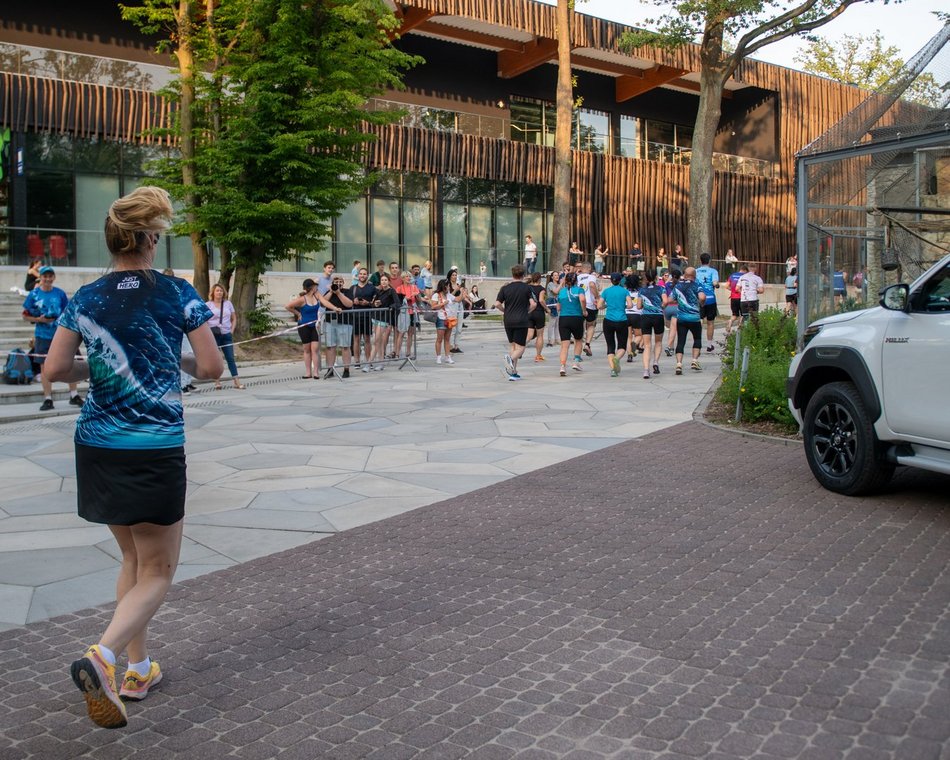 Bieg Rekina w Orientarium Zoo Łódź