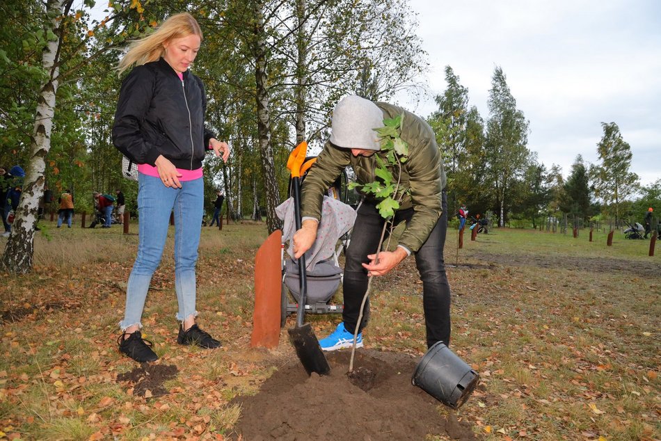 Rozrasta się Las Młodej Łodzi. Sadzenie drzew