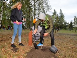 Rozrasta się Las Młodej Łodzi. Sadzenie drzew