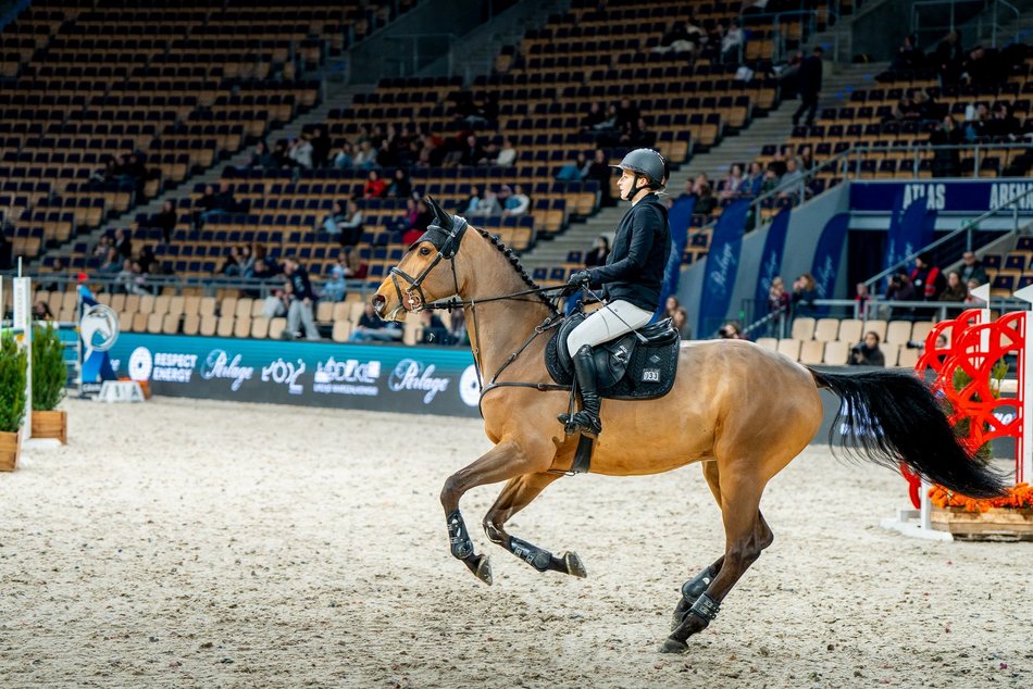 Łódź. Cavaliada Tour w Atlas Arenie w Łodzi wystartowała! Zobacz zdjęcia z pierwszego dnia zmagań