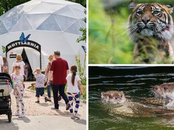 Łódź. Maj w Orientarium Zoo Łódź. Baby boom, motyle i nowi mieszkańcy