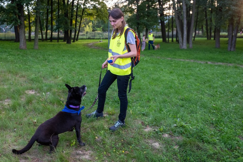 Łódź. Ostatni Psia Polówka w Łodzi za nami. Nic słodszego dziś nie zobaczysz!