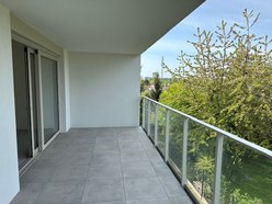 Łódź. Stokrotki Koncept