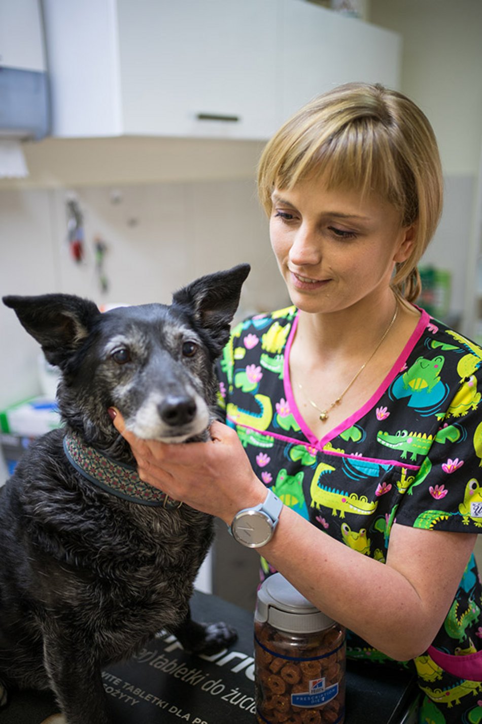Łódź. Najlepsi weterynarze