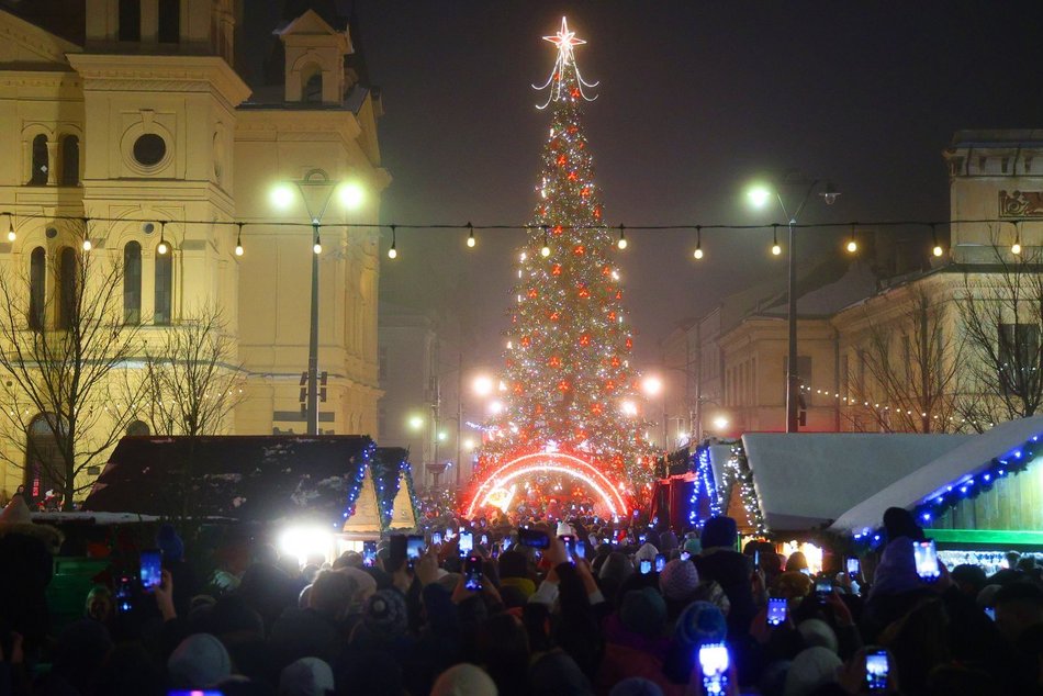 Choinka na Piotrkowskiej w Łodzi już świeci! Tłumy łodzian na placu Wolności