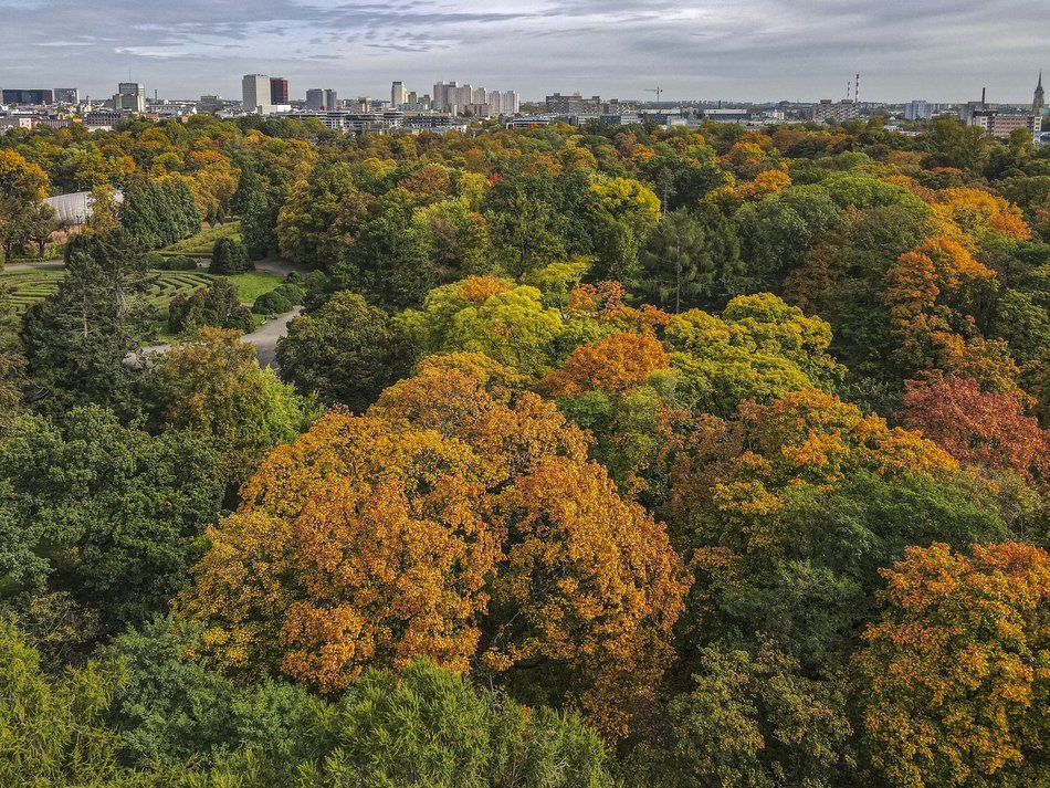 Park Poniatowskiego w jesiennych barwach. Baśniowy krajobraz w centrum miasta