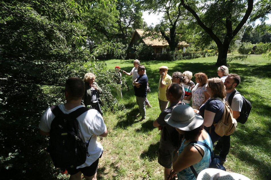 Warsztaty w Ogrodzie Botanicznym w Łodzi