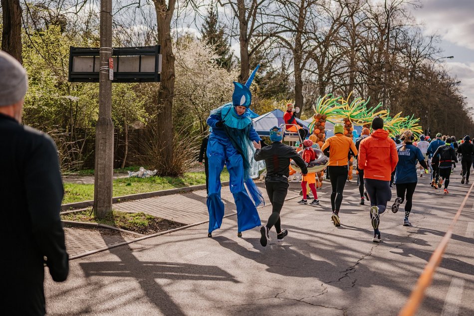 Strefa kibica Aquaparku Fala na DOZ Maraton Łódź 2025. Zobacz, jak łodzianie dopingowali biegaczy!