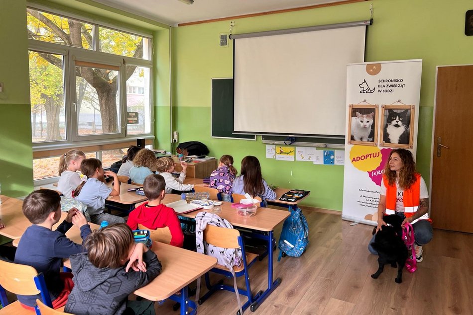 Jak troszczyć się o zwierzęta? Schronisko w Łodzi prowadzi lekcje empatii dla dzieci